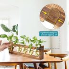 Plant Terrarium Hanging Propagation Stations Gift for Women - Image 2