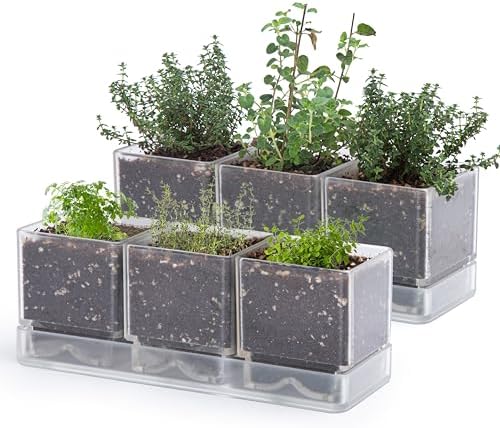D'vine Dev 2-Pack Acrylic Herb Garden Planter Set, Clear, 76-V-D-2 by DvineDevPlanterPotsandStand