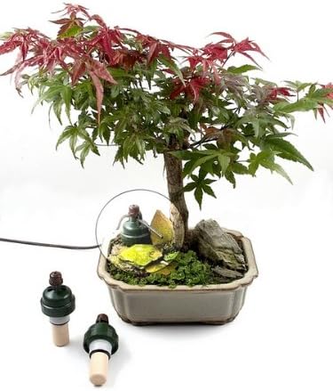 Blumat Bonsai Automatic Plant Watering Sensor || Never Over or Under Water Your Plants Again! - Image 2