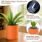 D'vine Dev Double-Layer Self-Draining Planter Set – Rotating Plastic Outer Pot with Clear Inner Liner for Root Health, Perfect for Indoor Plants, 6.5", Set of 2, Pumpkin, 73-V-E-2 - Image 4