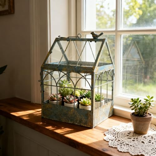 Vintage Glass Terrarium Greenhouse Large House Shape Plant Display Box Planter Container for Fern Moss Cacti Succulents Mordern Tabletop Decor Gardern DIY Kit Gift by Unknown
