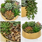 Artificial Succulent Plants in Pot 5.5 Inch Fake Succulents Arrangement - Image 4