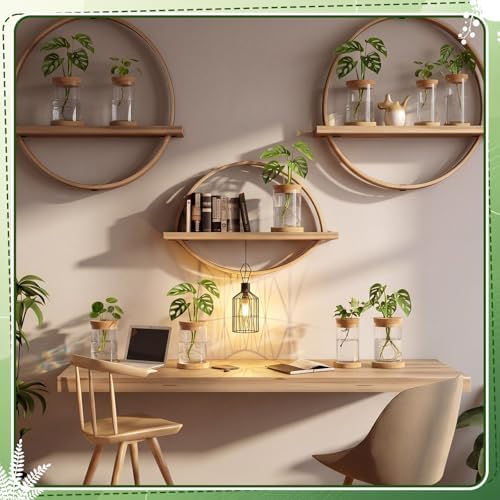 Hushee 12 Pcs Plants Propagation Stations Glass Propagation Jars with Hole Lid Hydroponic Terrarium Vases Gifts for Plant Lovers Home Indoor Office Tabletop Decoration, 2 Sizes - Image 4