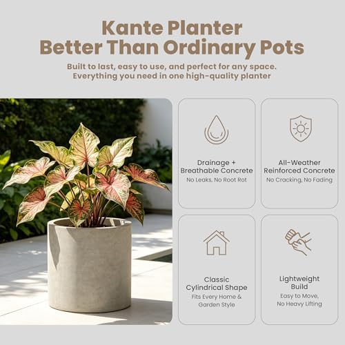 Kante 12.6" H Concrete Planter, Lightweight Round Cement Pot Indoor Outdoor - Image 3
