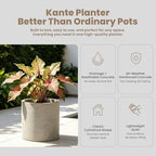 Kante 12.6" H Concrete Planter, Lightweight Round Cement Pot Indoor Outdoor - Image 3