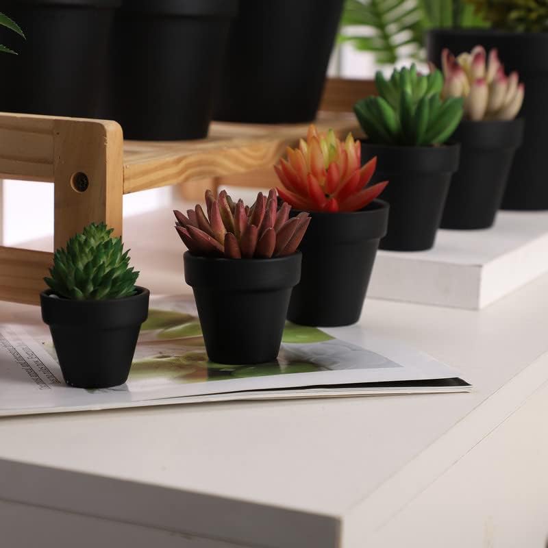 Yishang 2 inch Black Small Terracotta Pots with Drainage Holes,Mini Clay Ceramic Pottery Planter,Cactus Flower Nursery Terra Cotta Pots, for Indoor/Outdoor Succulent Plants, Crafts(80 Pack) - Image 4