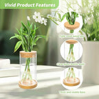 8 Pcs Plant Terrarium Desktop Glass Planter Plant Propagation Tabletop Propagation Vase Containers with Cork and Wooden Saucer for Growing Hydroponic Plants Garden Home Office Decor- - Image 3