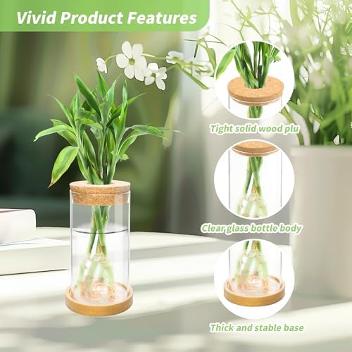 8 Pcs Plant Terrarium Desktop Glass Planter Plant Propagation Tabletop Propagation Vase Containers with Cork and Wooden Saucer for Growing Hydroponic Plants Garden Home Office Decor- - Image 3