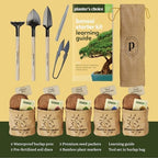 Bonsai Tree Starter Kit - Indoor Live House Plants - 5 Bonsai Tree - Image 4