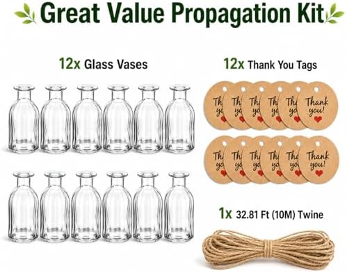 12 Pack Glass Plant Propagation Station Vases Small Jars Gifts - Image 5