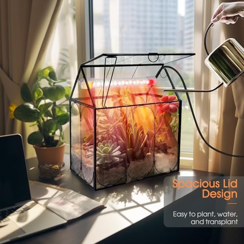 RIFNY Plant Terrarium with Grow Light, Glass Terrarium 7.1 x 4.8 x 8.8 Inch - Image 6