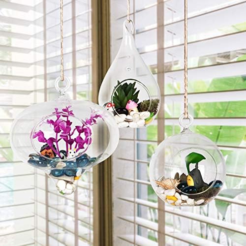 WGVI Glass Hanging Planter Air Fern Terrarium,3 Pack of Plants Hanger Vase for Succulent Moss,Tillandsias and Air Plants, Home Decorations,a Set of Globe,Teardrop,Peach - Image 5