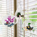 WGVI Glass Hanging Planter Air Fern Terrarium,3 Pack of Plants Hanger Vase for Succulent Moss,Tillandsias and Air Plants, Home Decorations,a Set of Globe,Teardrop,Peach - Image 5