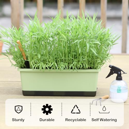 Oliz Window Box Planter 8 Pcs, 17 Inches Rectangle Flower Pots with Drainage Holes & Trays, Vegetable Planters for Windowsill Patio Garden Balcony Home Indoor Outdoor (Light Green, 16 * 7 * 6 inch) - Image 4