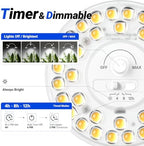 Barrina OG11A Grow Light Bulbs for Indoor Plant, 5000K 11W, 4 Packs, White - Image 4