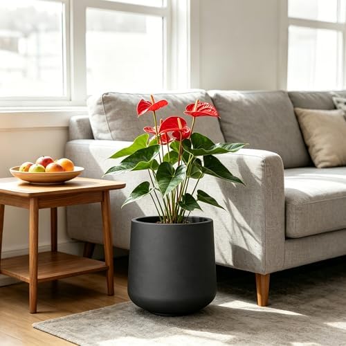 Kante Accent Round Curved Black Concrete Planter 13" Dia, Outdoor - Image 4