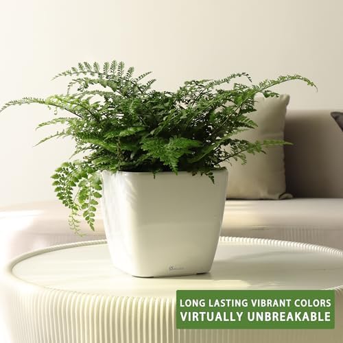 Dexceder 11x10 Self Watering Planter (White High Gloss) - Image 6