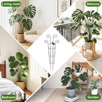 Coomin 32.6in Monstera Plant Support Trellis with One Butterfly, 4P - Image 6