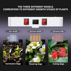 KingLED KP4000 Grow Light for Indoor Plants, Full Spectrum Plant Grow Light - Image 3
