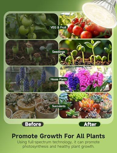 GU10 Grow Light Bulb:6W LED Natural White 4000K 3 Pack - Image 3