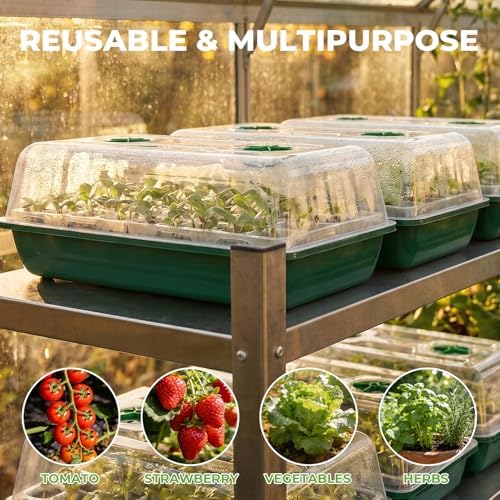 HIRALIY 80 Cell Seed Starter Tray Kits, Reusable Plant Germination Trays, Easy Transplanting, with Humidity Domes and Bases, for Starting Vegetable, Flower & Herb Seeds, Indoor Gardening, Greenhouse - Image 6