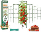 ZeeDix 6 Pack 65 Inch Heavy Duty Tall Tomato Cages for Garden by ZeeDix