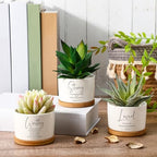 Sieral 6 Pcs Bible Verse Succulent Mini Planters, Bamboo Trays,Bright - Image 4
