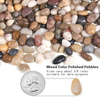 30lb Small Pebbles, 3/8 Inch Polished Plant Rocks for Pots Indoor - Image 2