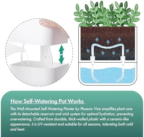 Phoenix Vine 6.5 Inch Wall Mounted Self-Watering Planter Pot for Indoor Houseplants and Herbs | Hanging Planter for Window Sills, Bathroom Walls, Home & Office Décor, White, Set of 3, 01-C-D-3 - Image 4