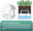 Phoenix Vine 6.5 Inch Wall Mounted Self-Watering Planter Pot for Indoor Houseplants and Herbs | Hanging Planter for Window Sills, Bathroom Walls, Home & Office Décor, White, Set of 2, 01-C-D-2 - Image 4