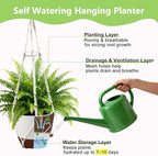 Hanging Planters - Help Plants Thrive in Low Light - Image 6