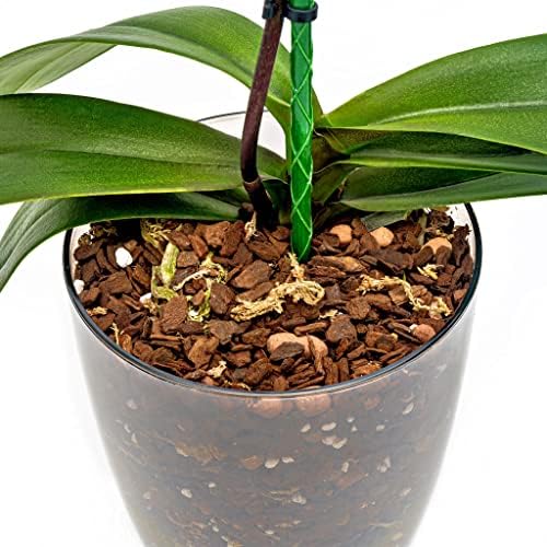 Organic Premium Orchid Soil Mix by Gardenera - Hand Mixed Classic Sphagnum Moss Potting Soil Mix - for Phalaenopsis Orchid - 10 Quart (2 Bags of 5 Quart) - Image 3