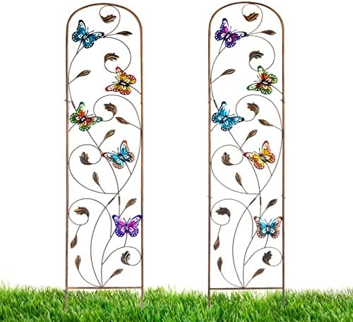 LEWIS&WAYNE 2 Pack Metal Garden Trellis with Colorful Butterfly 60 Inch High Outdoor Decoration Arched Fence Trellis for Climbing Plants for Patio, Lawn, Yard, Backyard, Wall Brackets by LEWIS%26WAYNE