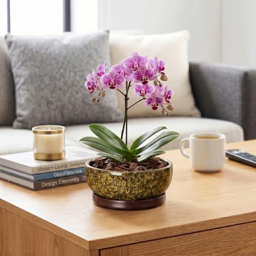 8 Inch Ceramic Succulent Pots with Saucer, Yellow Leopard - Image 5