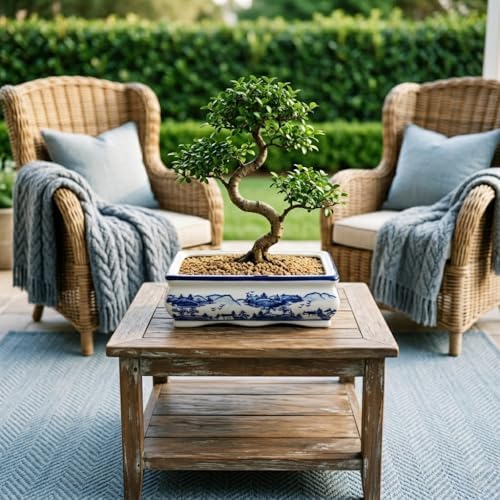 Villa Como 9" Large Blue and White Ceramic Bonsai Pot with Drainage Hole - Image 5