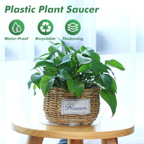 30 Pack Clear Plant Saucers for Indoors (10, 12, 14 inch) Flower Pot Saucers for Potted Plants Plant Plate Set Plant Trays for Indoors No Holes Plant Trays for Pots Bulk - Image 2
