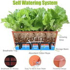 Window Box Planter 6 Pcs, 16.5 Inches Self Watering Rectangle Flower Plant Pots with Drainage Holes Trays, Vegetable Planters for Windowsill Patio Garden Balcony Porch Yard (Orange) - Image 4