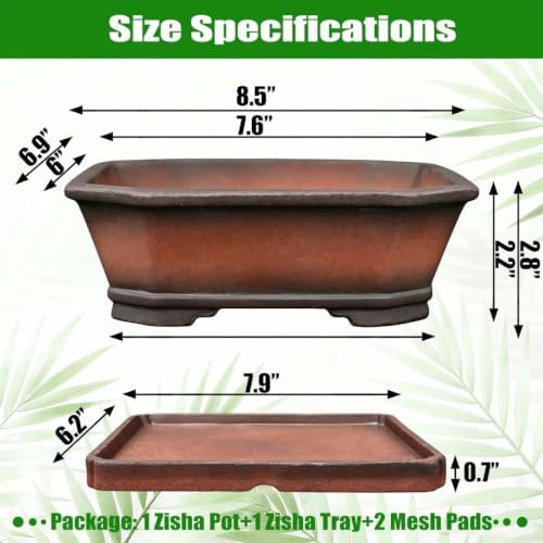 MUZHI Decorative Ceramic Bonsai Planter Pot 8.5 Inch with Tray, Breathable Unglazed Rectangle Terracotta Clay Pot for Tree Succulent Cactus Indoor Outdoor Red Brown (Corner-Cut Rectangle 8.5”) - Image 2