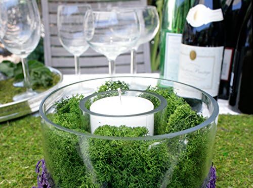 Super Moss (21499 Reindeer Moss Preserved, Forest Green, 10lbs - Image 3