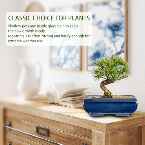 Villa Como Set of 2 Large Bonsai Pots with with Drainage Hole, 8.7" - Image 4