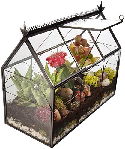 D'Eco Glass Greenhouse Plant Terrarium, Centerpiece & Wedding Letterbox - Image 6