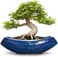 Bonsai Pots - 18 Inch Large Ceramic Succulent Pots for Indoor Outdoor, Bonsai Planter with Drainage Hole, Ceramic Flower Pot, Decorative Plant Pot, Gifts for Plant Lovers, Office Decor, Blue by Teagas
