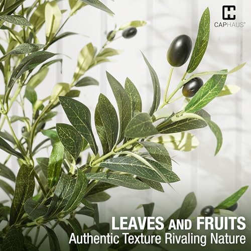 CAPHAUS 6FT Artificial Olive Tree Potted, UV Resistant Indoor Faux Plant - Realistic for Living Room, Office Decor, Housewarming Gift (72 Inch) - Image 4