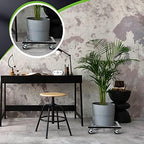 Taiyin 20 Inch Metal Plant Stand with Lockable Wheels Heavy Duty Rolling Stand 350lb Square Roller Base Potted Plant Dolly for Outdoor Indoor Patio Planter Large Succulent Flower Pot Cart - Image 7
