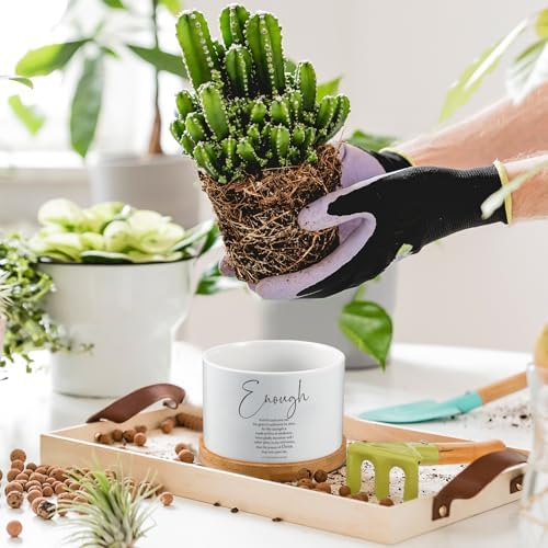Fumete 12 Sets Bible Verse Succulent Pots 3 x 2 in, Affirmation Series - Image 4
