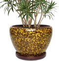 10.6 Inch Ceramic Planter with Saucer for Indoor Outdoor Plants by Unknown