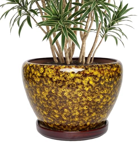 10.6 Inch Ceramic Planter with Saucer for Indoor Outdoor Plants by Unknown