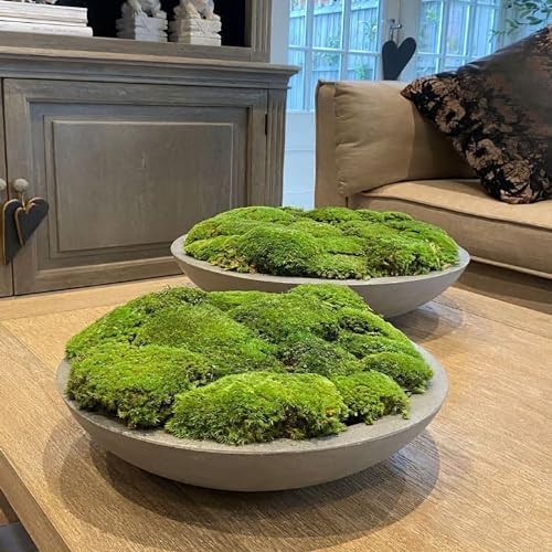 FAICOIA Preserved Moss Bulk Green Natural Preserved Pole Moss Pillow for Potted Plants 2.5 sq.ft Green Moss Balls for Bowls Wall Art Terrariums Crafts Fairy Gardens Easter Table Decor - Image 3