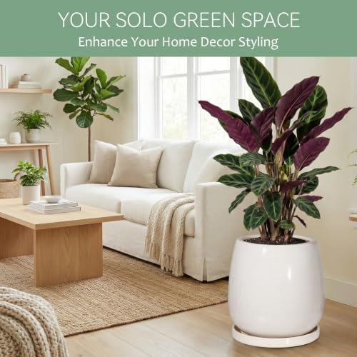10.3 Inch Ceramic Glaze Plant Pot with Saucer, Flower Pots with Drainage Hole Mesh Net(Hemp-Gray Dot) - Image 2