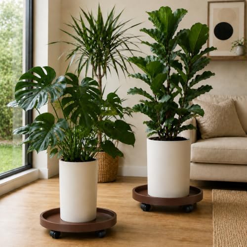 Plant Stand Indoor, Plant Stand Outdoor Plastic Rolling Tray Plant Caddy with Wheels, 12 Inch Outdoor Plant Stand for Planters for Outdoor Plants, Heavy Duty Plant Dolly, 2 Pack, Brown - Image 2